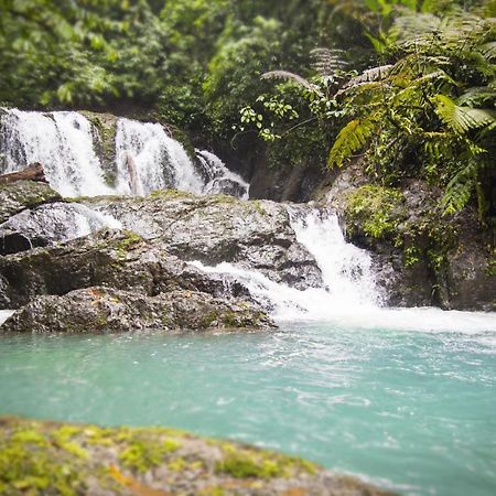 Naguala Jungle Lodge Drake Bay Ngoại thất bức ảnh