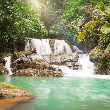 Naguala Jungle Lodge Drake Bay Ngoại thất bức ảnh