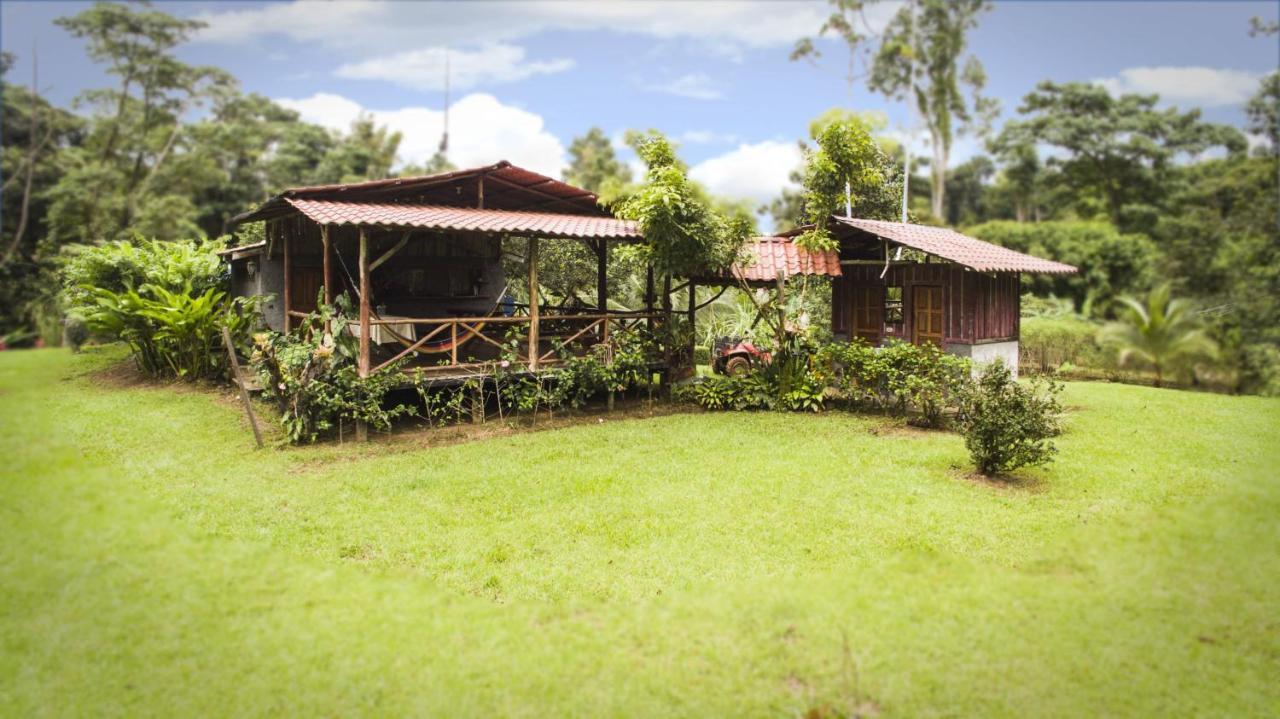 Naguala Jungle Lodge Drake Bay Ngoại thất bức ảnh