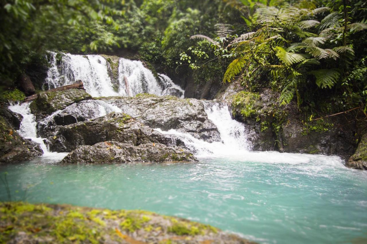Naguala Jungle Lodge Drake Bay Ngoại thất bức ảnh