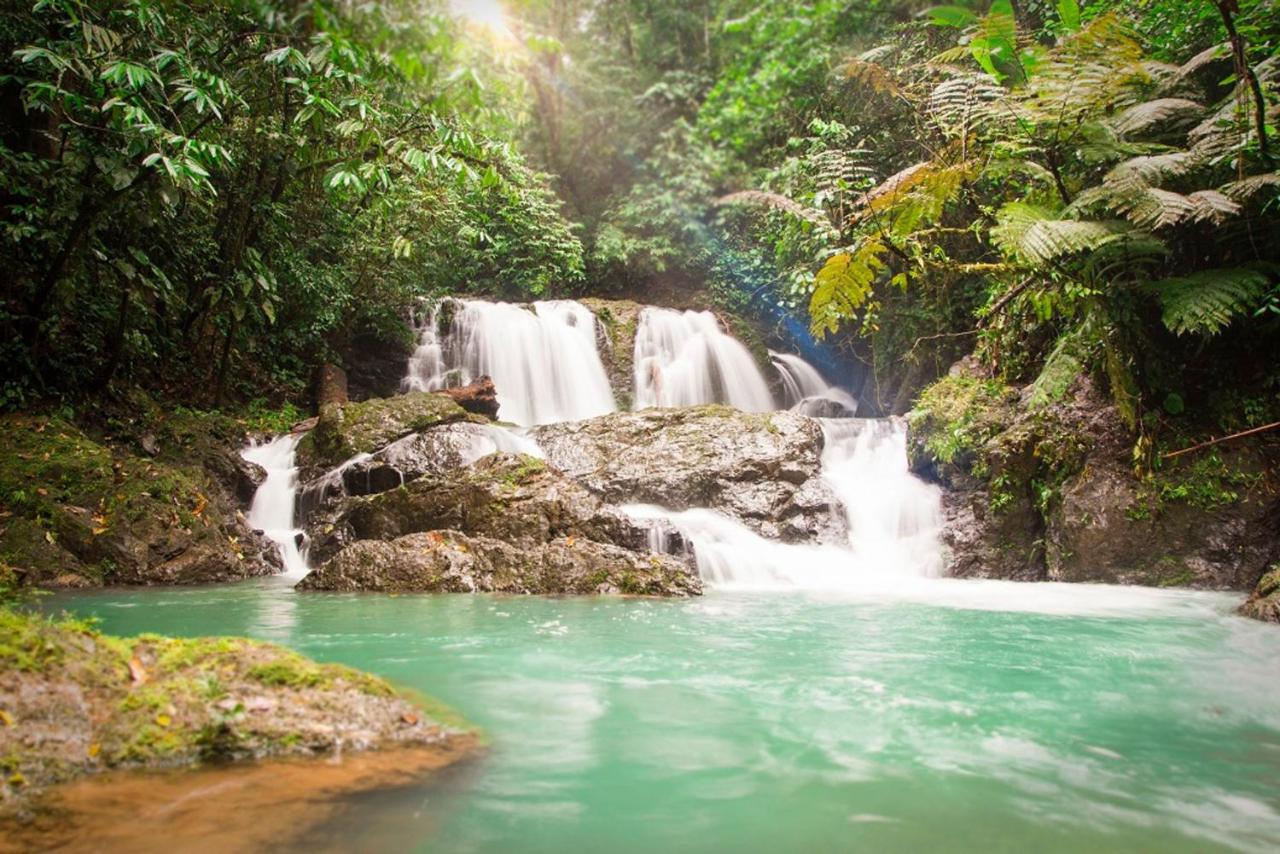 Naguala Jungle Lodge Drake Bay Ngoại thất bức ảnh