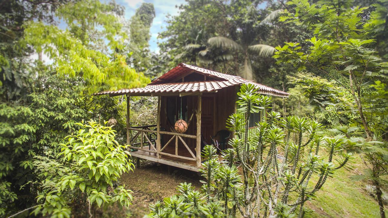 Naguala Jungle Lodge Drake Bay Ngoại thất bức ảnh