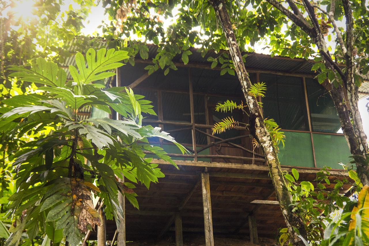 Naguala Jungle Lodge Drake Bay Ngoại thất bức ảnh