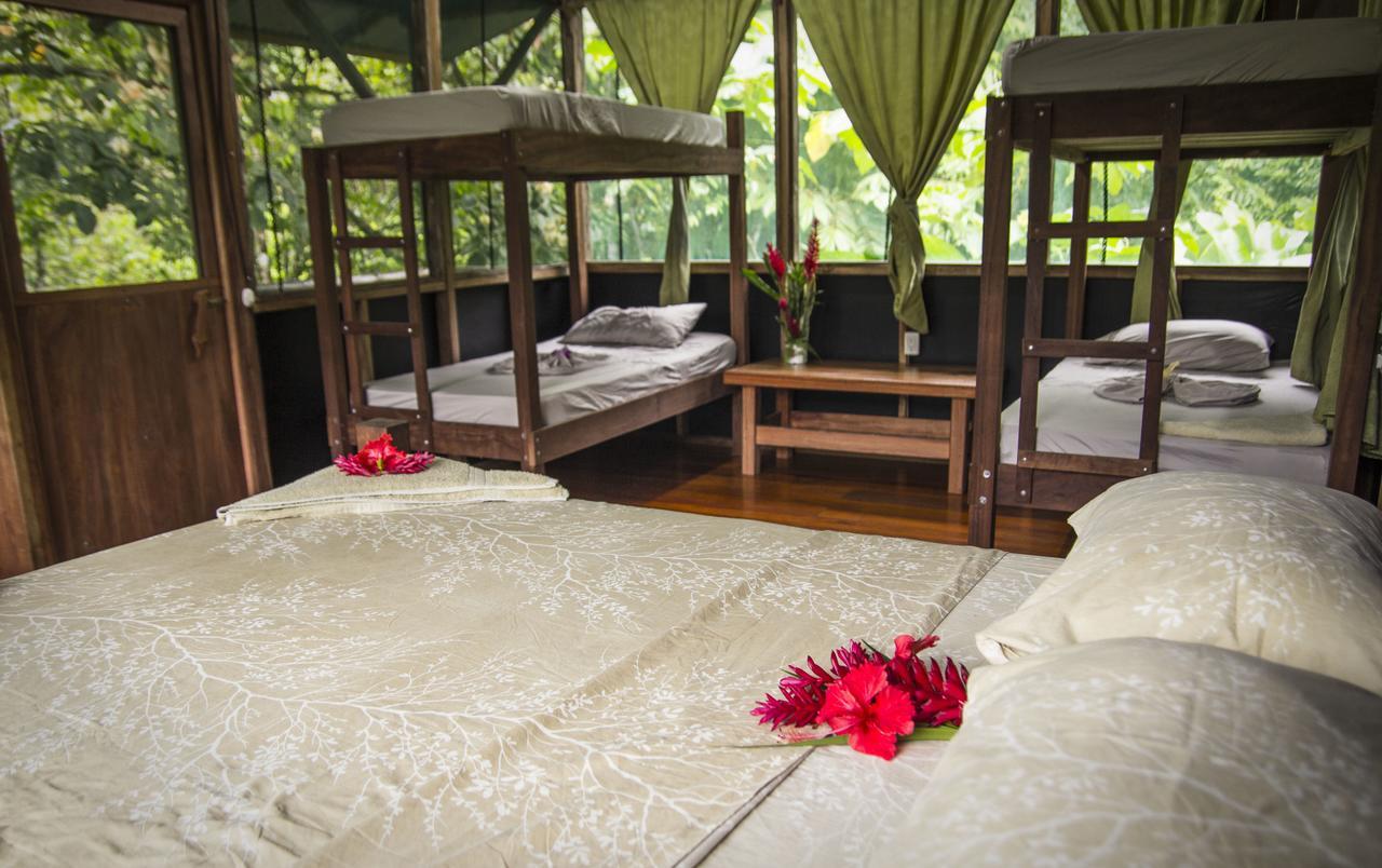 Naguala Jungle Lodge Drake Bay Ngoại thất bức ảnh