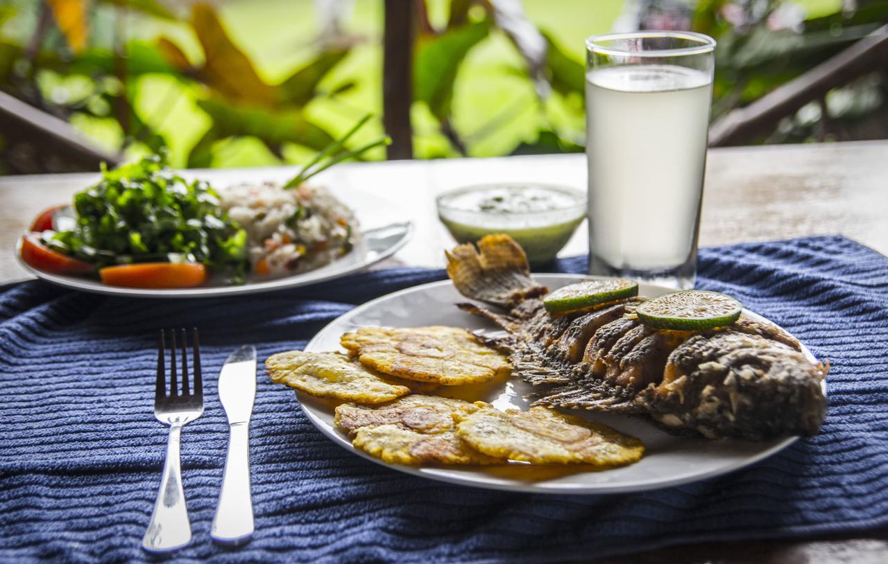 Naguala Jungle Lodge Drake Bay Ngoại thất bức ảnh