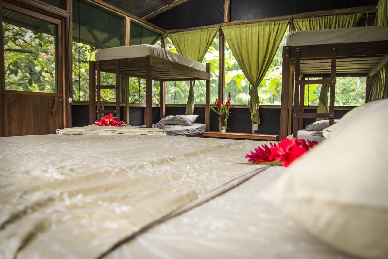 Naguala Jungle Lodge Drake Bay Ngoại thất bức ảnh