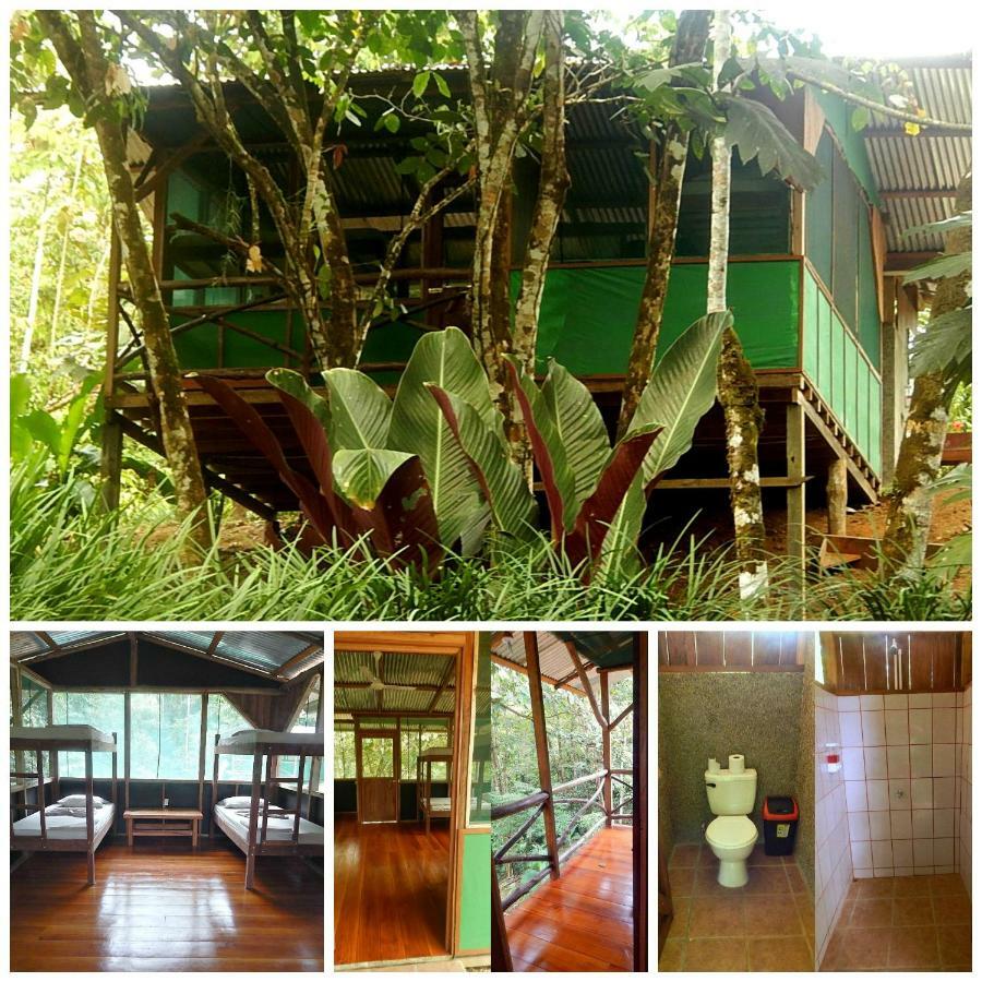 Naguala Jungle Lodge Drake Bay Ngoại thất bức ảnh